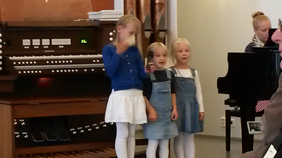 Sukujuhla 2014