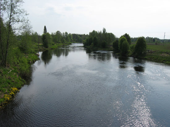 Pirkokoski